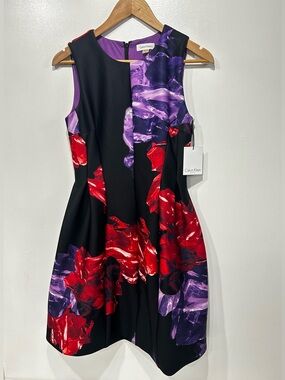 Calvin Klein Floral Scuba Fit & Flare Dress Black Red Purple Sleeveless Size 4